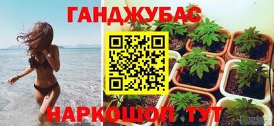 ALPHA PVP Кингисепп