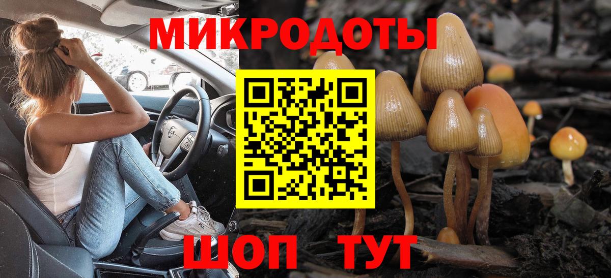 Псилоцибиновые грибы Psilocybine cubensis Прохладный