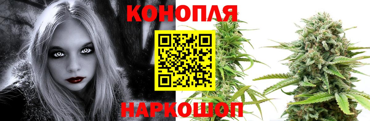 Марихуана гибрид Прохладный